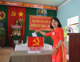 Thuy-bo-phieu.jpg